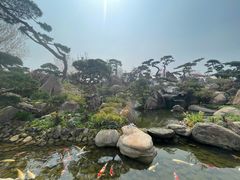 -罗红摄影艺术馆