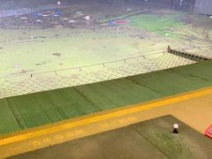 -棕榈泉国际高尔夫学院