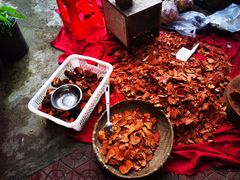 -园林美食城·本土农家菜(杨和镇店)