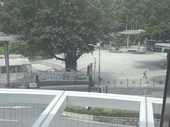 -点都德(广州白云山景区南门店)