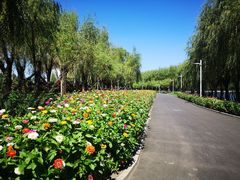 -长春公园(普阳街道)