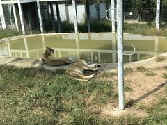 -西安秦岭野生动物园