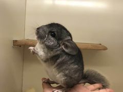 -龙猫仔乐园(惠福东路店)