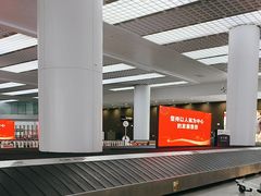 -青岛胶东国际机场