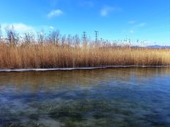 -永定河休闲森林公园