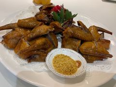 乳鸽-厦门渔港(成山路店)