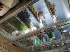 -巴五中胖娃烧烤