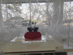 -罗红摄影艺术馆