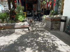 -喵屿·大理花园猫咖