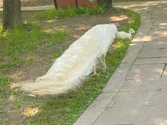 -宁波杭州湾国家湿地公园