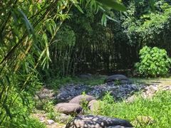 -新虹桥中心花园
