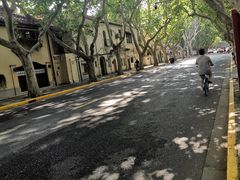 -Boxing Cat Brewery拳击猫精酿啤酒馆(永福店)
