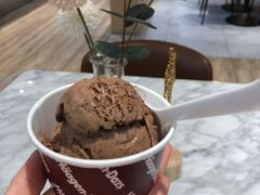 -哈根达斯(西安北郊店)