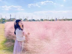 -鹅湖玫瑰文化园