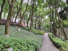 -重庆市江北嘴中央商务区中央公园