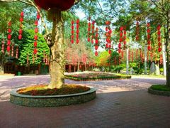 -揭东万竹园旅游景区