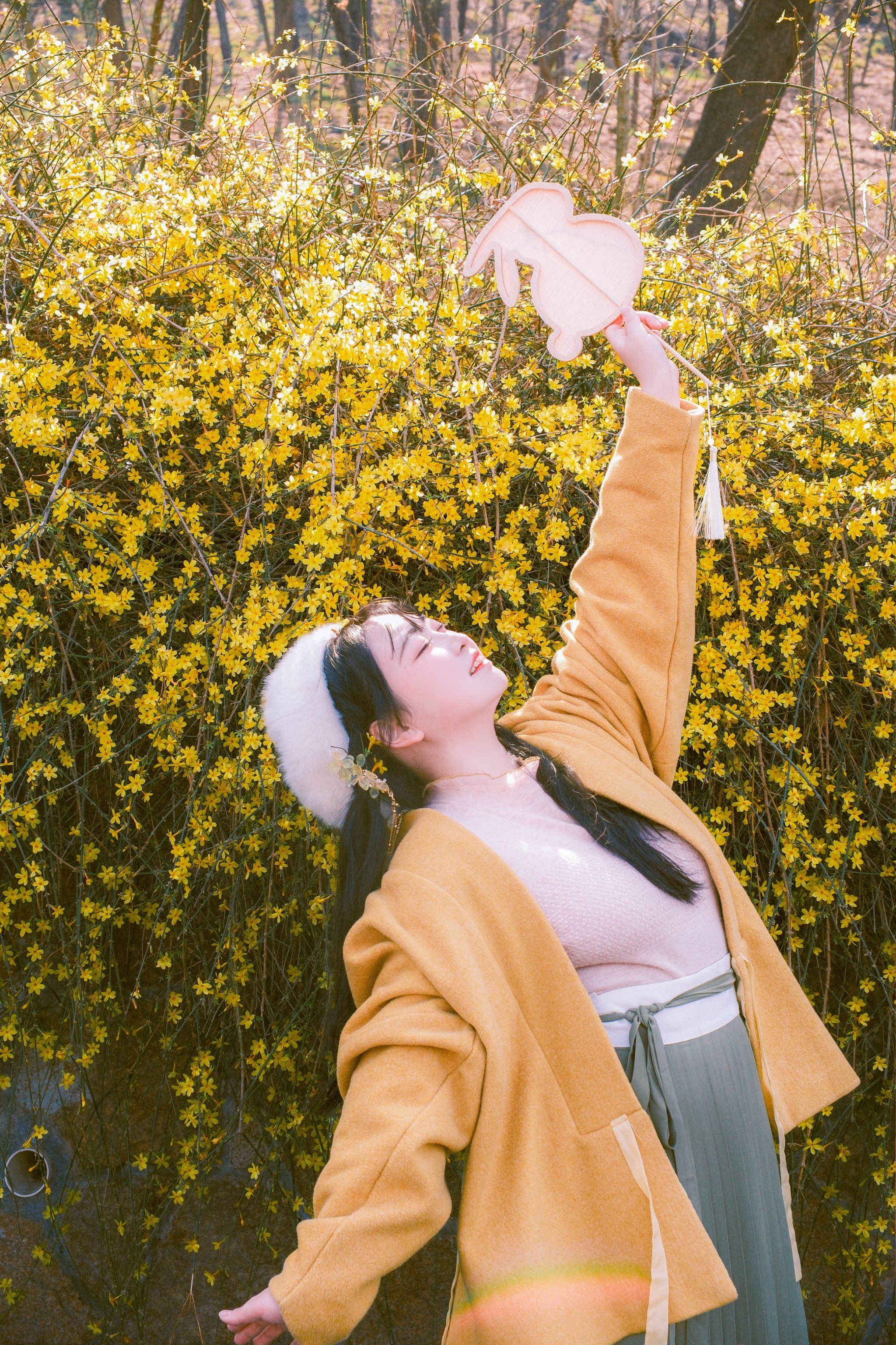 n	
98今年迎春花开的很不行,八大关,中山公园,天泰体育场