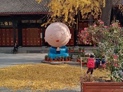 -古大圣慈寺
