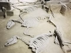 -洛阳周王城天子驾六博物馆