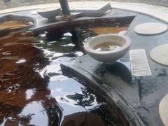 -碧水湾温泉