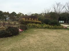 iphone_upload_pic-新江湾城公园