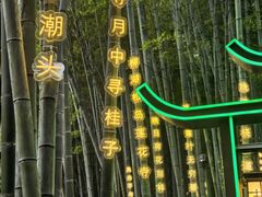 -杭州黄龙洞
