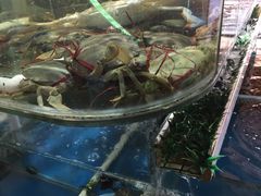-鑫悦楼煎蟹·16年海鲜大排档