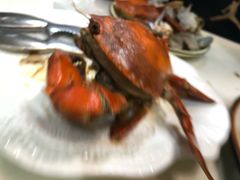 -鑫悦楼煎蟹·16年海鲜大排档