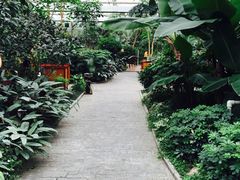 -汤山翠谷生态餐厅