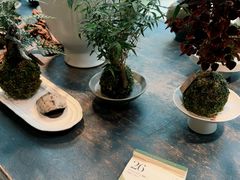 -自由生长植物工作室(深港花卉中心店)