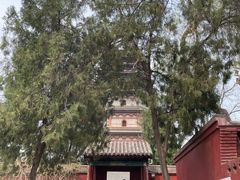 -天宁寺
