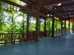-重庆彩云湖湿地公园