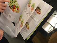 -油梨树 AVOCADO TREE(亮马桥店)