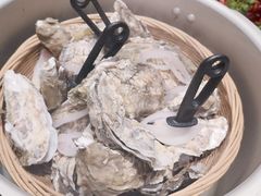 生蚝-小聚点餐厅(金隅金座店)