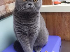 -纳吉亚猫专科动物医院博雅分院
