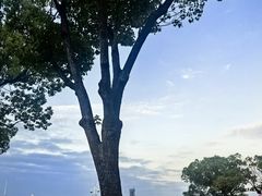 -秋水广场音乐喷泉