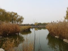 -燕郊植物园