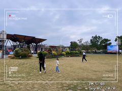 -上海长兴岛郊野公园