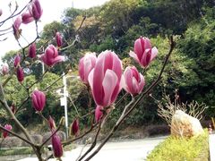 -广州市帽峰山景区