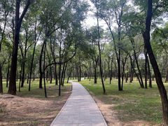 -森林公园(尖草坪区)