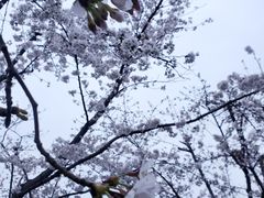 -龙美术馆(西岸馆)