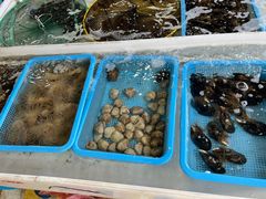 -罗源湾8号渔排