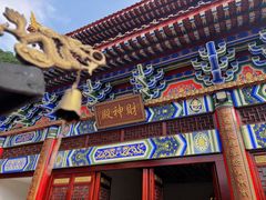 -东莞市大岭山森林公园