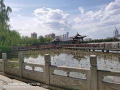 -莲花池公园