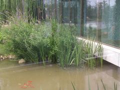 湖景-南阳建业森林半岛假日酒店