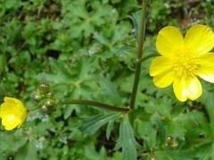 -帽儿山国家森林公园