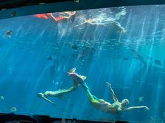 -瑞德姆美人鱼海底演艺主题餐厅(亚龙湾店)