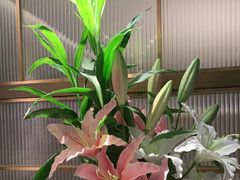 -鑫小城故事·藕汤·家常菜(台北一路总店)