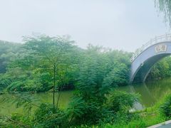 -禹州森林植物园