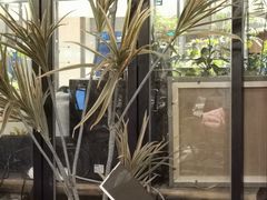 -大书房咖啡(中传国交店)